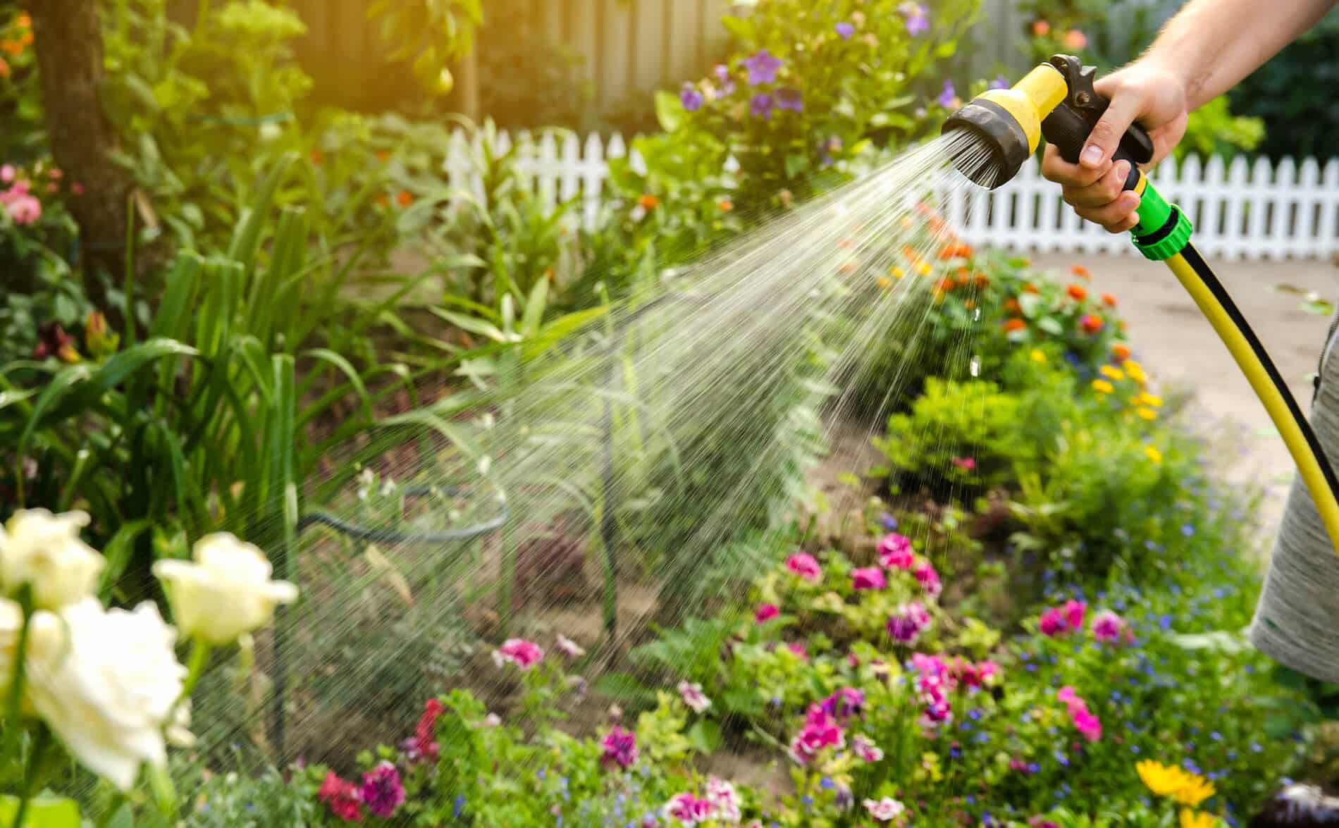 image of watering plants